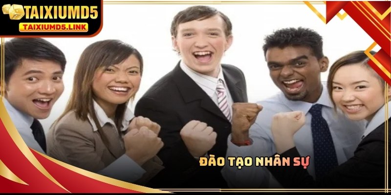 Nhân viên kiểm định giấy phép hoạt động yêu cầu hệ thống đào tạo nhân sự kỹ
